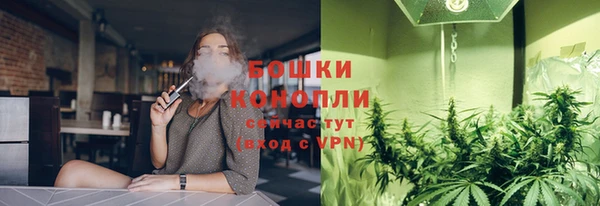 PSILOCYBIN Алзамай