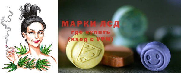 PSILOCYBIN Алзамай
