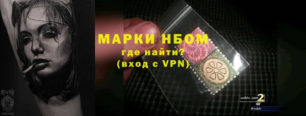 PSILOCYBIN Алзамай
