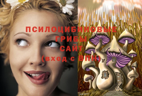 кокаин Алексин