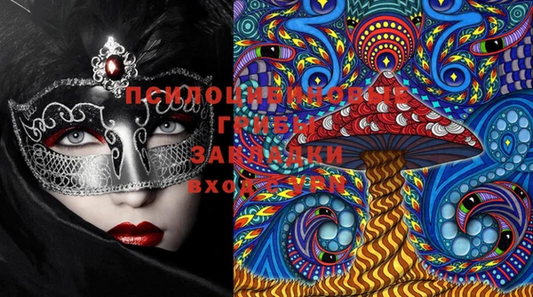 PSILOCYBIN Алзамай