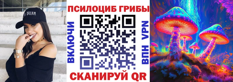 Псилоцибиновые грибы мицелий Богучар
